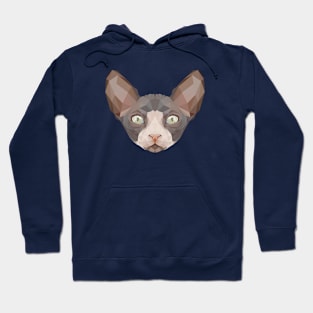 Sphynx Cat Low Poly Art Hoodie